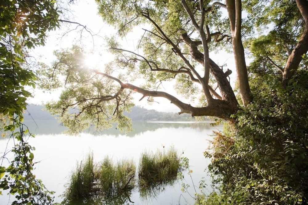 Lake Duluti Lodge Arusha Dış mekan fotoğraf